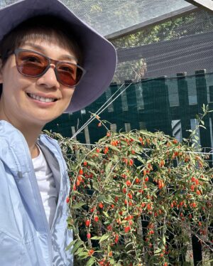 Elena Kong Mei-Yee Instagram - 在新西蘭有個農場就係可以養馬，養羊，種蔬菜🥬水果🍉，自給自足，寫意！

#江美儀 #江美人 #新西蘭 #christchruch #newzealand