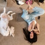 Eleni Vaitsou Instagram - 𝙄 𝙙𝙤𝙣’𝙩 𝙘𝙖𝙧𝙚 𝙬𝙝𝙖𝙩 𝙖𝙣𝙮𝙤𝙣𝙚 𝙩𝙝𝙞𝙣𝙠𝙨 𝙤𝙛 𝙢𝙚. 𝙀𝙭𝙘𝙚𝙥𝙩 𝙙𝙤𝙜𝙨. 𝙄 𝙬𝙖𝙣𝙩 𝙙𝙤𝙜𝙨 𝙩𝙤 𝙡𝙞𝙠𝙚 𝙢𝙚. 🐾❤️🐾