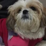 Eliana Guttman Instagram - Minha gostosa, minha companheira, meu amorzinho, minha filha/neta hj faz 13 anos. Que Deus me dê muito mais tempo ao teu lado #dudameuamor