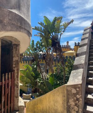 Elisa Bachir Bey Instagram - Magical place #penapalacesintra #regaleirapalace