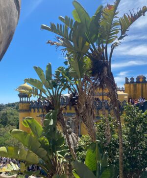 Elisa Bachir Bey Instagram - Magical place #penapalacesintra #regaleirapalace