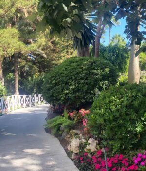 Elisa Bachir Bey Instagram - Summer jungle 🌴