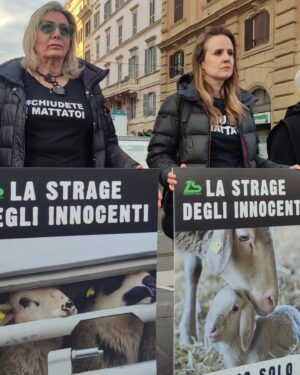 Elisa Di Eusanio Instagram - Non avrei mai pensato che la mia vita sarebbe andata così.

Di saltare la barricata e passare dalla parte di chi ho sempre deriso e guardato con sospetto.

Non mi sono mai piaciute le attiviste e le azioni in piazza  invece oggi eccomi qui.

Non ho idea di quanto siano efficaci o meno queste azioni
probabilmente nel tempo mi evolverò, cambierò di nuovo forma e cercherò altre strade ma oggi non posso esimermi dal partecipare perché noi abbiamo questo e poco altro.

Sono orgogliosa di esserci 
Orgogliosa di mostrare a volto scoperto da che parte sto
Orgogliosa di aver trovato una motivazione davvero importante per me

La nostra è una lotta dura durissima
Non ci comprenderanno
Ci derideranno 
Ci sminuiranno sempre
Ma un giorno capiranno

E se non sarà per empatia
purtroppo oggi questa sconosciuta 
sarà per altre motivazioni dalle quali non si potrà più continuare a scappare 
che riguardano la salute di tutte e tutti e del nostro pianeta che non ce la fa più🌍🥵

Io nel frattempo sempre e per sempre al loro fianco.

In piazza con @zerospecismo__  contro la strage pasquale degli agnelli.

Un'abominevole mattanza di cuccioli di pochi giorni  venuti al mondo senza alcun senso.

#instaeli
@valerubins