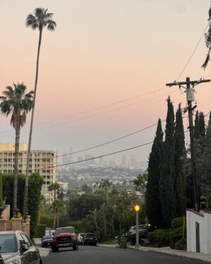 Eliza Bennett Instagram - Life lately