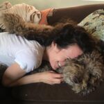 Elizabeth Reaser Instagram - Otis