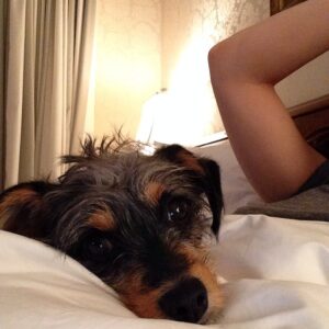 Elizabeth Reaser Instagram - He's addicted to selfies.