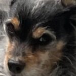 Elizabeth Reaser Instagram -