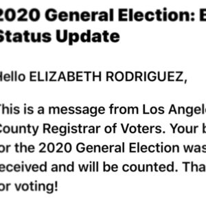 Elizabeth Rodriguez Instagram - I need to share this journey with you all. I’m currently not in CA (where I am a resident) so a friend FedEx my voting package to me. I was very concerned that it wouldn’t get back to CA promptly so I Fed Ex it to another friend “overnight” so that she would put it in a ‘Drop Off Box’. I checked in with her and asked if she had received the package. She had received a  notification that it was delivered but she hadn’t gotten her mail. I was trying not to push her to get it ,as she was doing me a favor ( to her defense, she has done me many favors and she has been insanely busy and overworked) but I was freaking out inside. I texted her again with a “friendly reminder” the next day. Then this past Monday my biggest fear happened. MAIL HAD BEEN TAKEN FROM HER BUILDING. When we spoke she was stressed out , spending all morning trying to find it and figure out next steps. My ballot was found in the  street and had been tampered with.  I hung up in a Total Panic , started researching and spoke to someone in Sacramento that said it was too late to have another sent and gave me another number that got me no where.  I started to look for a flight  back to LA so I could vote in person. I became really emotional and could not stop crying. It triggered  a lot for me as a Latina woman from a broken, lower working class home,around people that were convinced they had no power.  I NEEDED to be part of this election more than anyone before. 
I spoke to her again about an hour later and She had spoken to someone at a voter’s registration office that told her as long as my signature matched (luckily that part of envelope was intact!), she could put it into another envelope and drop into “Drop Box”. I have been distressed all week about this but I woke up to an email that said “IT WAS RECEIVED AND WILL BE COUNTED” #VOTE #vota #BLM #shesepuede #latina #latinx #voteforchange #integrity #votehimout #thefuture