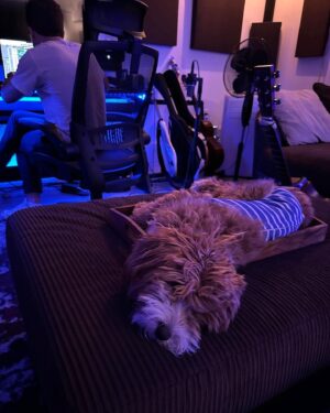 Elle Winter Instagram - some selfies and puppies 🎶 🐶