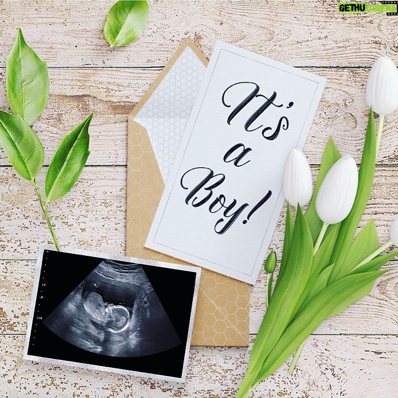 Elle Fowler Instagram - We are super pleased to announce that our sweet little baby is a BOY!! 💙🙌🏻💙We have his name picked out but will announce that later on (or maybe after he is born, we will see!).