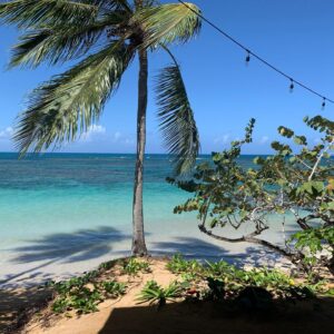 Elsa Fayer Instagram - Plage déserte , le rêve !  #paradiseisland #goodvibes #lovemyjob 🌴⛱