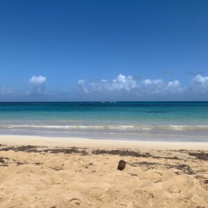 Elsa Fayer Instagram - Plage déserte , le rêve !  #paradiseisland #goodvibes #lovemyjob 🌴⛱