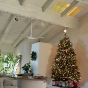 Elysia Rotaru Instagram - Lately…
been up 🪜all over the house, gettin it ready for 🎄and hanging with my ❤️’s