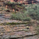 Elysia Rotaru Instagram – Beyond Thankful 
🧡❤️🧡❤️🧡❤️🧡❤️🧡❤️🧡❤️🧡
#photodump pt 2
#sedona #hiking #boyntoncanyon #vortex #redearth #mountains #kachinawoman #miiamospa #fiveyears @ryslife @relaischateaux @mii_amo_spa
🌲
ALSO what tree is this on pic 8 ? It’s the perfect smell.
ALSO thank you @gustafsonperformancecenter for getting me up and moving so I can climb this mountain, and more to come! 🏜️