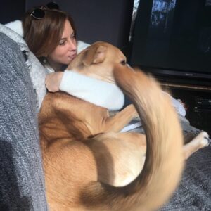 Emel Çölgeçen Instagram - O bir tilki tilki... @zezou @tipe.bak