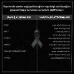 Emel Sayın Instagram -