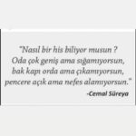 Emel Sayın Instagram - 🙏🏻