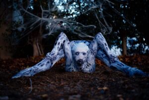 Emerald Gordon Wulf Instagram - "Being normal is vastly overrated." —Halloweentown
🕸🕷🕸
Photos by @kalialexsis 
#contortion #contortionist #flexible #flexibility #circus #freak #horrormovies #horror #creepy #creepypasta #scary #terror #horrormovie #monster #spider #arachnid #arachnophobia