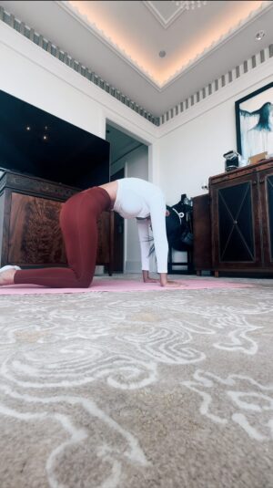 Emi Yanagimoto Instagram - くびれ作るなら🦴
"背骨"を動かしてみて〜🤸

えっ！きつい😰って人は
仰向けで膝を抱えて丸まろう☝️🙆‍♀️
無理せず、毎日ひとつ、少しずつで大丈夫👌

▶︎なぜ？！毎日ストーリーで発信中📢
くびれを作りたい人はハイライトも見てね💕

万年ダイエッターはもう卒業🎓
整えて×鍛えるボディメイクなら
理想の自分に最短距離で近づける！🦴🏋️‍♂️

来週6/22(土)のオンラインセミナーでは
[整える]エラー/動きのクセを改善する実践
[鍛える]メリハリを作るための筋トレ実践の
2本柱で小顔・くびれ・美尻を作ります🫶🍑

👚 @cronos_apparel