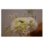 Emi Takei Instagram - わたしが産まれる うんと昔の年代の フランスうまれな ヴィンテージの花器。🇫🇷 そうなの、はまっています… 古いものってどうも惹かれてしまう 3枚目の奥にチラリと写っているのも、そう。 これは大のお気に入り。 さてと あしたは月曜日だ。 楽しい一週間を🤘