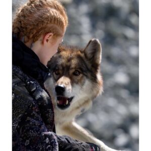 Emily Beecham Instagram - Mamma wolf Lubin
Kingdom #glaciers. Took about an hour for her to dare to come this close to me as she was scared. 
An omnibus film ‘Interdependence’ produced by "ART for the world" and the @unitednations and its partners.  12 international filmmakers, each with a shortfilm about climate change and its effect on the region they life in.
Our story Kingdom is about the last human being on earth, trying to protect the last glacier from melting under the sun. Even as we’re shooting we can see the glacier melting each day. 3 years ago this entire dusty basin was an ice glacier. It has melted so fast. 
They will be released at the 25th session of the Conference of the Parties of the UN Climate Change Conference 🙌🏼 Directed by lovely @bettinaoberli & brill DOP #martingschlacht  Also, def follow @gretathunberg because she is super amazing 🙌🏼 #climatechange #gretathunberg #bettinaoberli #glacier #stopclimatechange. @extinctionrebellion @greenpeace