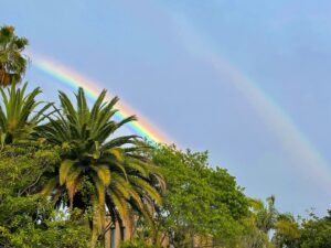 Emily Procter Instagram - Sending all y’all a California double rainbow Christmas wish of happiness!😘