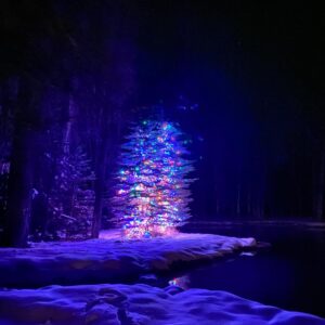 Emily Procter Instagram - Sending Merry Christmas wishes to all and to all a good night. 🎄xo