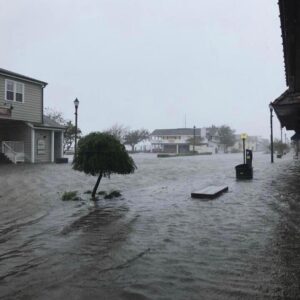 Emily Procter Instagram - While I am absolutely devastated to see the footage of my beloved NC.
I know the strength and courage of the people there. They will rebuild and can count on me to help💙
