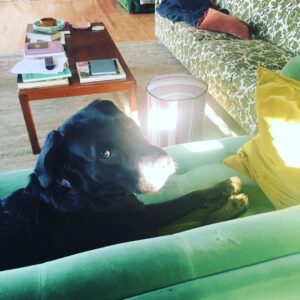 Emily Browning Instagram - Here’s ten pictures of ma best friend coz he’s a perfect baba and coz I’ve been away from him for three whole weeks and coz I miss him so much ma heart hurts ❤️❤️😭❤️❤️ #trouble #thegoodestboy #myson #psitslaureldummies