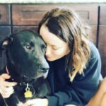 Emily Browning Instagram - Here’s ten pictures of ma best friend coz he’s a perfect baba and coz I’ve been away from him for three whole weeks and coz I miss him so much ma heart hurts ❤️❤️😭❤️❤️ #trouble #thegoodestboy #myson #psitslaureldummies