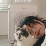 Emily Chan Instagram – 致笨喵：

茫茫喵海中，遇見你真的是很幸運的事。
謝謝你在沒有貓喜歡我的時候，第一個搖著尾巴向我走來。
總是靜靜地讓我抱抱你，無論我有沒有洗頭。
謝謝你比任何人都更有耐心，讓我覺得自己也是一個可以被貓擁抱的人類。
一直都相信，傻傻地和寬容的靈魂總會有很多福氣，
所以你一定也是隻有福的貓（雖然看身材已經知道）。

要健健康康的，零食一天吃一條就好了。

em

給自己和毛小孩築一個健康的窩，
Levoit Vital 100S 宠物空气过滤器，
把猫猫的毛毛吸附在可以清洗的过滤网，
还可以过滤家里的气味恢复清新，
让呼吸之间都安心快乐！
3/3 有促销，大家可以到 IGS 按🔗查看详情喵～

@levoitmy #levoit #levoitmalaysia #airpurifier 
#petairpurifier #levoitVital100S