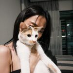 Emily Chan Instagram - 昨天是情人節，跟朋友吃晚餐的時候，聊起從前談戀愛和現在有什麼變化了呢？ 無論到幾歲，愛情都像洋蔥，一瓣一瓣剝開，層層辣眼睛的都是憧憬和期待。說自己不抱期待的人，談的不是愛情，是別的東西。 隨著年齡愛情有變化嗎？我覺得是沒有的。 只是隨著經歷，學會了管理期待而已。 就算重來一次，大概還是會受傷。仔細想想沒什麼好後悔的，都是一場賭注。把自己交託多少出去，不一定會換回多少。覺得幸運的是，無論重來多少次，還是有勇氣作籌碼。 也許學會多保護自己一些，但遇到真的喜歡的就又豁出去了。教人如何愛自己的建議一堆，我倒是覺得現在愛自己過剩的人也很多。一直都覺得愛情是用來治驕傲和聰明人的，擁有太多自我，談再多次戀愛也只搞懂了一半。沒人能在愛情裡全身而退，全身而退的人，談的也不是愛情，是別的東西。 我們可能都沒有改變，只是來去多了一點，少了一點。 遇到愛情時，都還是那樣的自己。 Btw 遇到互相喜歡的人不難，遇到你喜歡的貓也喜歡你比較難。 祝有情貓（？終成眷屬，你喜歡的貓也喜歡你。 遲來的情人節快樂 🌸 #happyvalentinesday