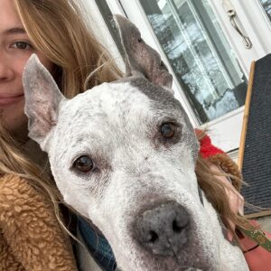 Emily Henry Instagram - One month until funny story 💙