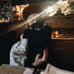 Emily Wickersham Instagram - a little bit of love recently