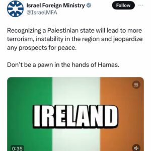 Emma Dabiri Instagram - Ireland recognises the state of Palestine !! (Trigger warning heartbreaking images of murdered Palestinians) 

Over the weekend I spoke at the European Writers Festival I was asked about how my Irishness informs my life and my writing. I said that no matter where I am in the world being Irish is my anchor but didn’t have time to expand too much on what that meant. 

Here’s an example. Irelands recognition of the Palestinian State reflects our own history, the formerly oppressed siding with the currently oppressed. I’ve never really felt more proud to be Irish, nor felt as strongly the necessity of that anchor ! I feel it now keenly in this context, living in the centre of empire, in the beating heart of Babylon where atrocity is normalised and defended everyday, where we are expected to fall in line compliantly and so many clearly do so. But as an Irish person “raised on songs   stories of heroes of renown” of freedom fighters, of steadfastness, of unimaginable bravery and integrity in the face of crushing colonial oppression, I know the difference between the coloniser and colonised and I know that the coloniser will employ the full force of their powerful propaganda machine to dehumanise the colonised and try to convince us that they deserve to be destroyed. 

Have included some images of the response to Irelands decision here too, 

Have also included some images of the daily slaughter being meted out upon Palestinian people…it’s beyond fucking disgusting…how anybody can justify, deny or entirely ignore what’s happening just beggars belief at this stage 
🇵🇸🇮🇪🇵🇸