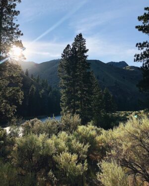 Emma Fuhrmann Instagram - it’s a bird! it’s a plane!! nah it’s just me :) swipe for some nature content 🤩🌲