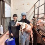 Emmie Reis Instagram - 聽起來很奇怪， 但我一直超想試的！ 幫牛羊擠ㄋㄟㄋㄟ🐮🍼 我還記得小時候聽我爸說 他的小時候… 那時候二次大戰剛結束 法國被夷為平地， 大家只能自耕自足都在務農 我爸特別喜歡動物， 每天跑到廠房跟牛馬羊睡在一塊 早上被牛推醒 聽起來就好有趣喔！ 第一次摸到羊的ㄋㄟㄋㄟ 感覺像是用皮裝的水球， 但是皮很薄 如果擠的不夠好， 他們的腳還會踢超有趣的 （可能因為不太舒服） 嘉大很用心的在照顧 他們的動物們， 牛乳當然也就超級的鮮濃！ （奶茶控美美本人大推👍🏻） 待會就有播出囉！ #上山下海過一夜