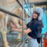 Emmie Reis Instagram - 聽起來很奇怪， 但我一直超想試的！ 幫牛羊擠ㄋㄟㄋㄟ🐮🍼 我還記得小時候聽我爸說 他的小時候… 那時候二次大戰剛結束 法國被夷為平地， 大家只能自耕自足都在務農 我爸特別喜歡動物， 每天跑到廠房跟牛馬羊睡在一塊 早上被牛推醒 聽起來就好有趣喔！ 第一次摸到羊的ㄋㄟㄋㄟ 感覺像是用皮裝的水球， 但是皮很薄 如果擠的不夠好， 他們的腳還會踢超有趣的 （可能因為不太舒服） 嘉大很用心的在照顧 他們的動物們， 牛乳當然也就超級的鮮濃！ （奶茶控美美本人大推👍🏻） 待會就有播出囉！ #上山下海過一夜