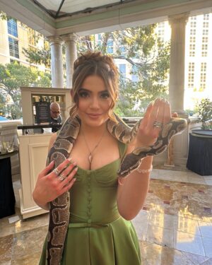 Emmy Perry Instagram - What a beautiful night celebrating the remarkable legacy of Steve Irwin and his dedication to wildlife conservation. His infectious passion for wildlife and wild places have been passed on to his inspirational family @terriirwincrickey @bindisueirwin and @robertirwinphotography who live it and share it with the world who I love and have the honor of calling my dear friends. Thank you for continuing to inspire us all to make a difference! I will forever be a #proudwildlifewarrior 💚🐊