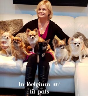 Erika Eleniak Instagram - Happiest National Puppy Day!
LOVE our Babies!
#jack
#piper
#skyler
#rusty
#ollie
#charlie