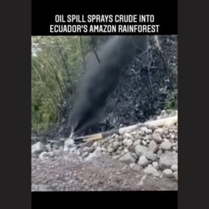 Erin Brockovich Instagram - and we wonder why environment is in peril