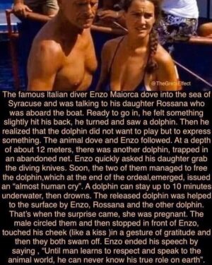Erin Brockovich Instagram - 