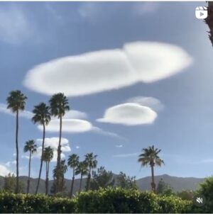Erin Brockovich Instagram - My buddies morning photo op. You decide, lol.