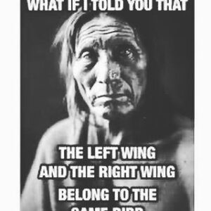 Erin Brockovich Instagram - #politics is the disease 
#WeThePeople are the cure