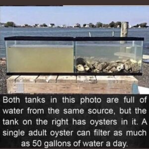 Erin Brockovich Instagram - So cool! Nature has us covered but we keep F'ing with her.😑
