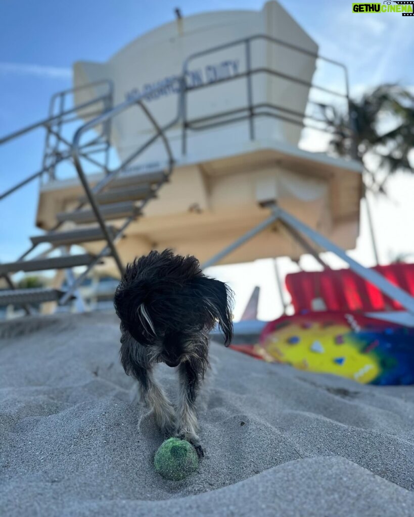 Erin Krakow Instagram - 🎾🌼🧩🐶🫖🌈