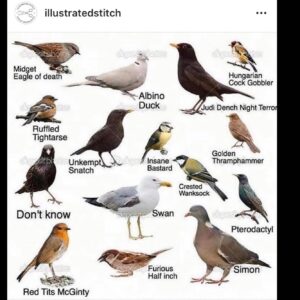 Erin Richards Instagram - #birdsinnit