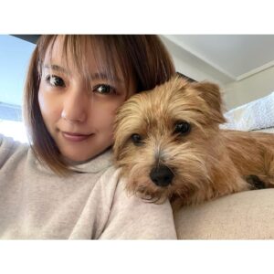 Erina Mano Instagram - 弟わんこ🐶
3歳になりました🎂🎉✨👏🏻
相変わらずパワフルでやんちゃだけど
最近はふとしたときに甘えてくることも増えて
いろいろな一面を見せてくれるのが本当に愛おしい🤍
この1年も毎日元気に過ごしてくれますように！！ 
.
.
誕生日プレゼントは
大好きなKONGのテニスボール3個セット🎾🎾🎾
数日でもう音が鳴らなくなったけど
投げると嬉しそうに追いかけて持ってきてくれます🤭
#愛犬
#犬のいる暮らし
#誕生日おめでとう
#大好き
