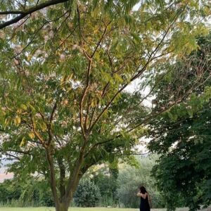 Esra Kızıldoğan Instagram - Birinin sizi bulacağından eminseniz rahatça gizlenebilirsiniz🌿🌱🌳🔆
Harika bir pazar gününden #tbt

Teşekkürler @muratcanasna 🌼🤍

🎥 ve 📸 👉🏻 @yazguvendi 🙏🏻💛