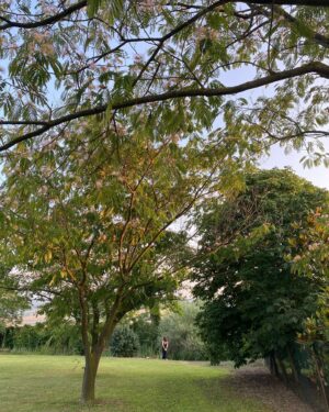 Esra Kızıldoğan Instagram - Birinin sizi bulacağından eminseniz rahatça gizlenebilirsiniz🌿🌱🌳🔆
Harika bir pazar gününden #tbt

Teşekkürler @muratcanasna 🌼🤍

🎥 ve 📸 👉🏻 @yazguvendi 🙏🏻💛